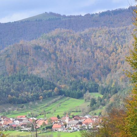 Planina  Hisa Haasberg 빌라 외부 사진