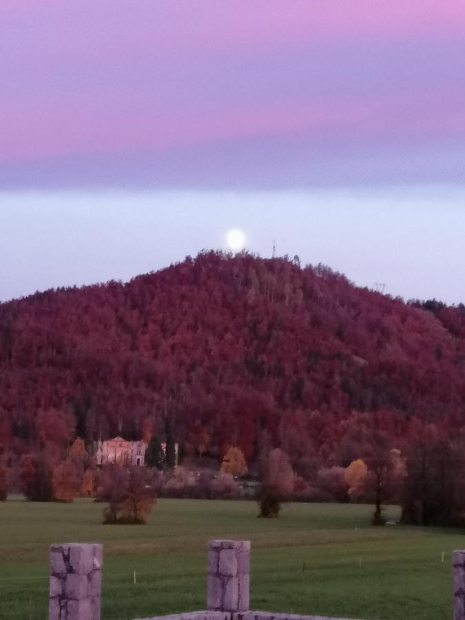 Planina  Hisa Haasberg 빌라 외부 사진