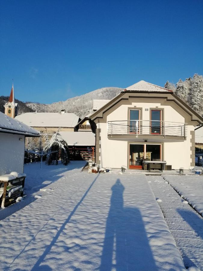 Planina  Hisa Haasberg 빌라 외부 사진