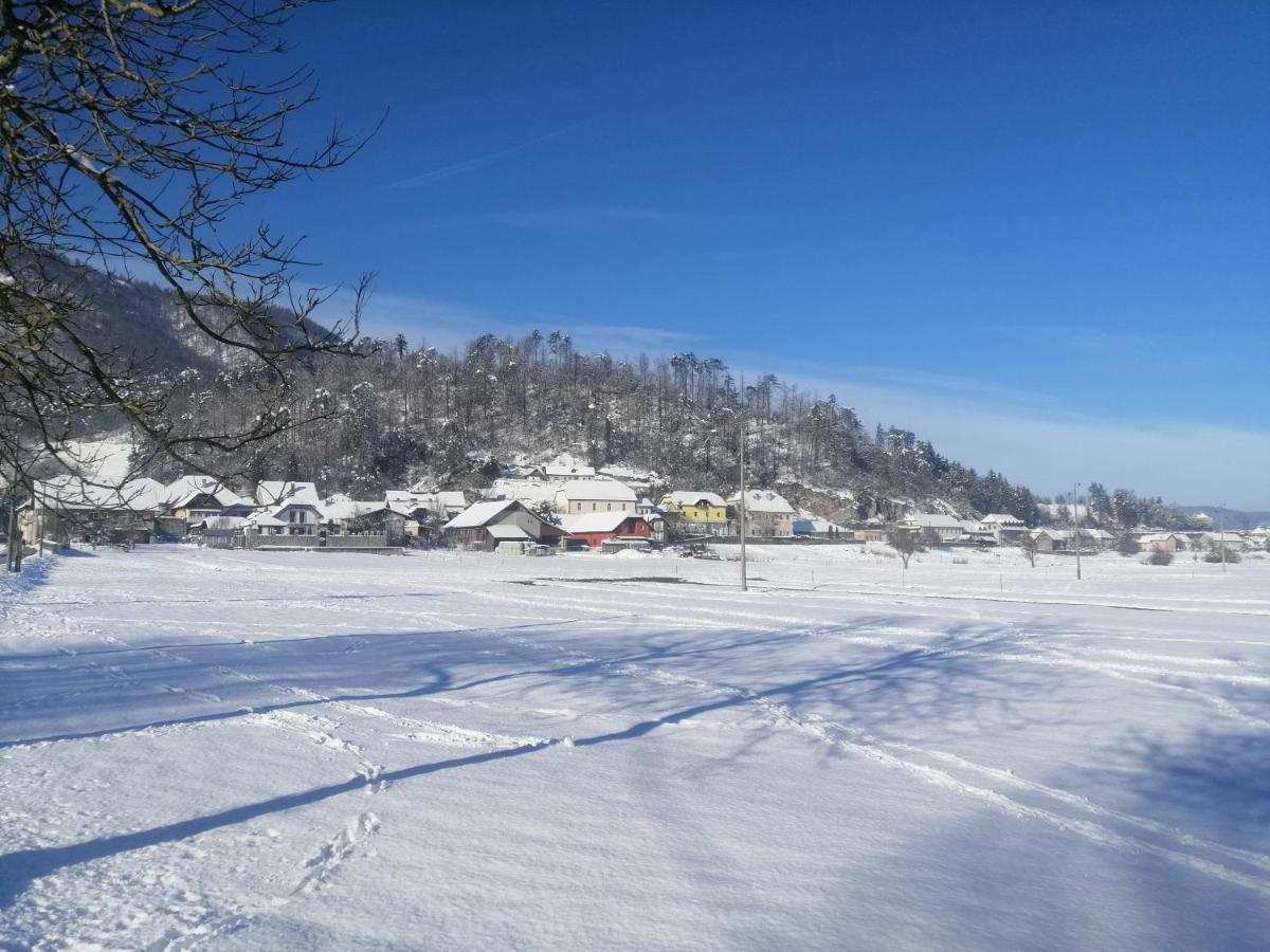 Planina  Hisa Haasberg 빌라 외부 사진