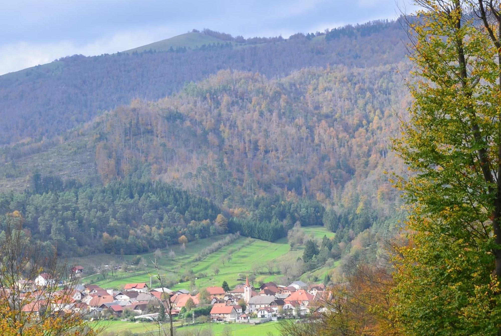 Planina  Hisa Haasberg 빌라 외부 사진
