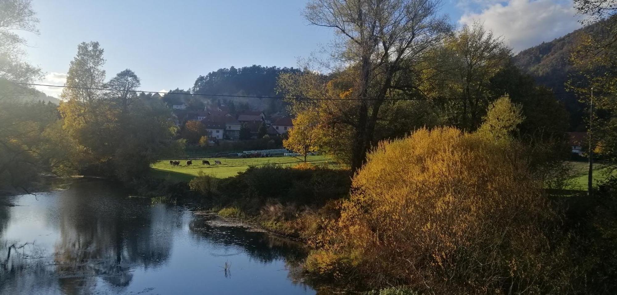 Planina  Hisa Haasberg 빌라 외부 사진